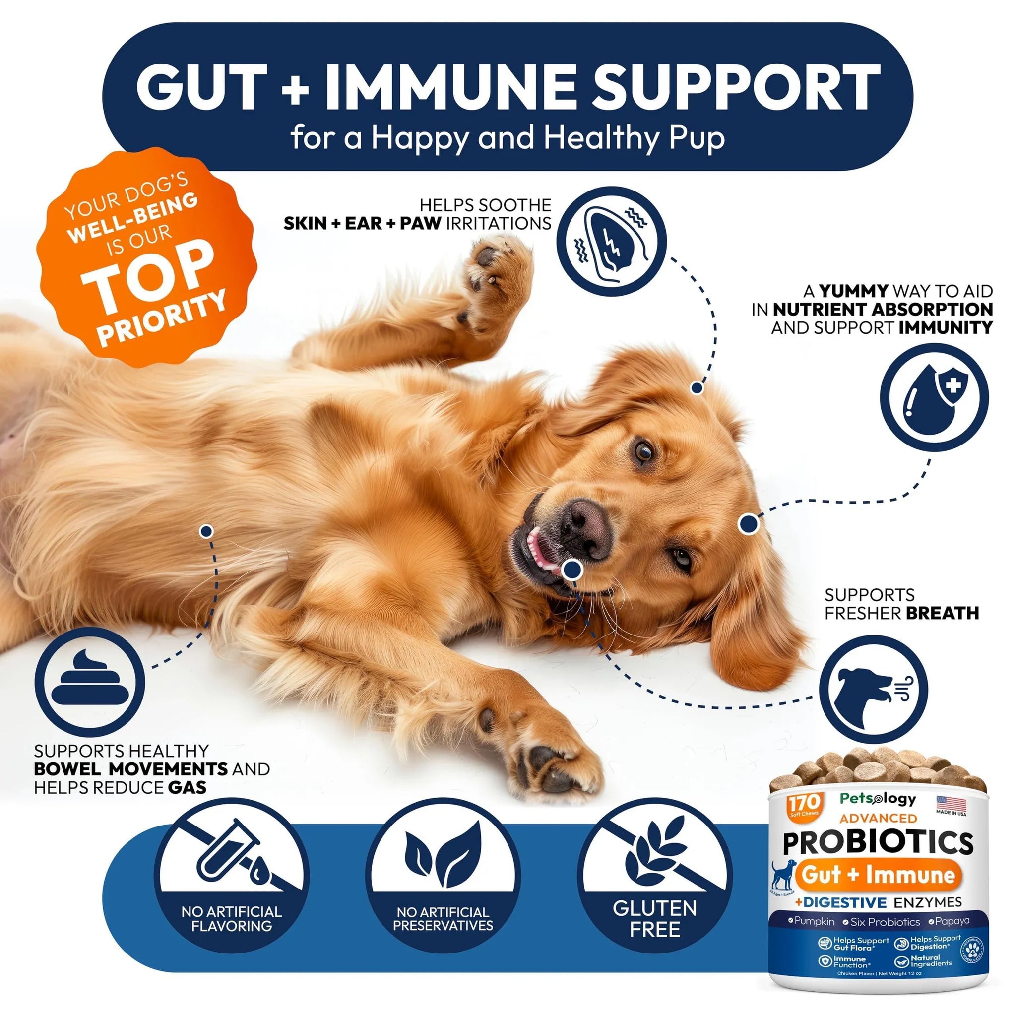 Probiotics for Dogs