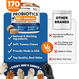 Probiotics for Dogs