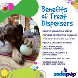 4" Glow-in-the-Dark Dog Ball - Treat Dispenser & Water Toy