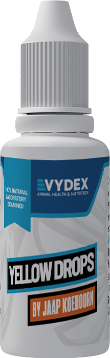 Yellow Drops for Poultry Health, Recovery & Vitality Support
