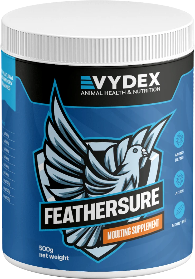 Supports Feather Growth