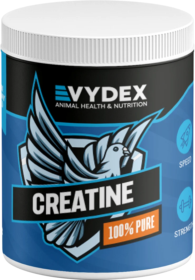 Pure Creatine 100%