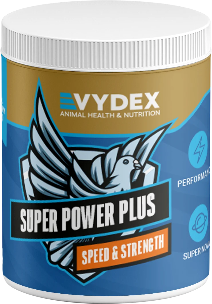 Super Power Energy Tablets