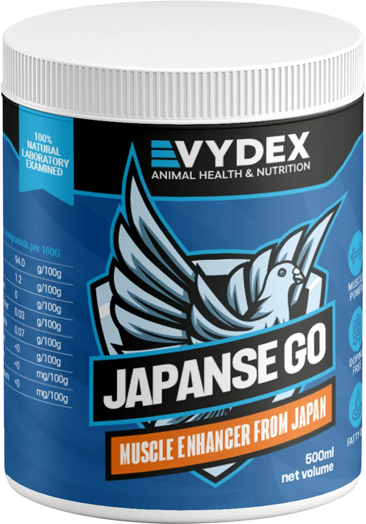 Japanese Go – Muscle & Energy Enhancement Oil 🇯🇵