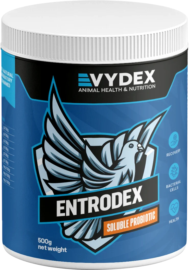 Entrodex – Live Probiotic Bacteria