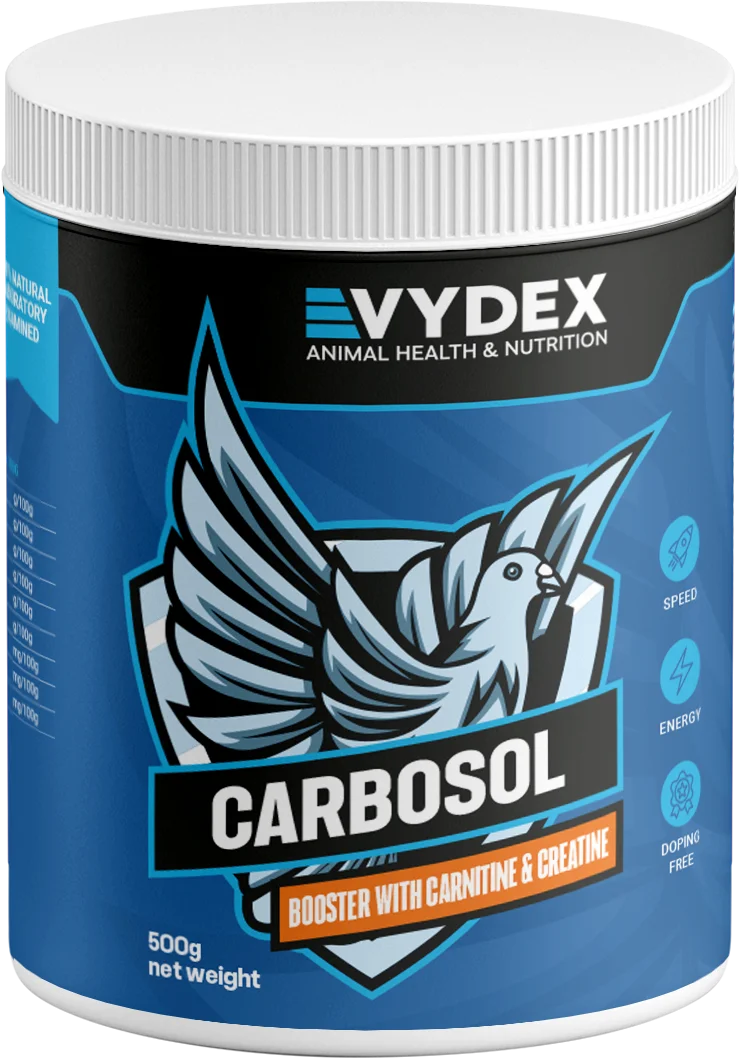 Carbohydrates & Creatine
