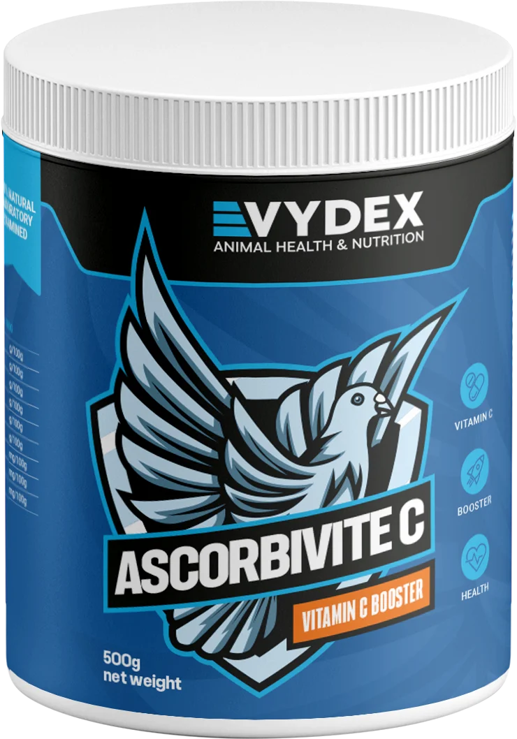 Vitamin C & Energy Booster (Ascorbivit)