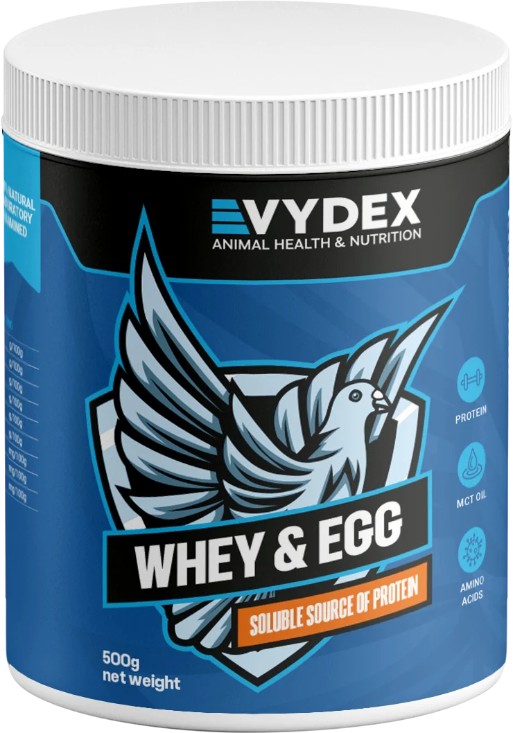 Whey & Egg PROTEIN