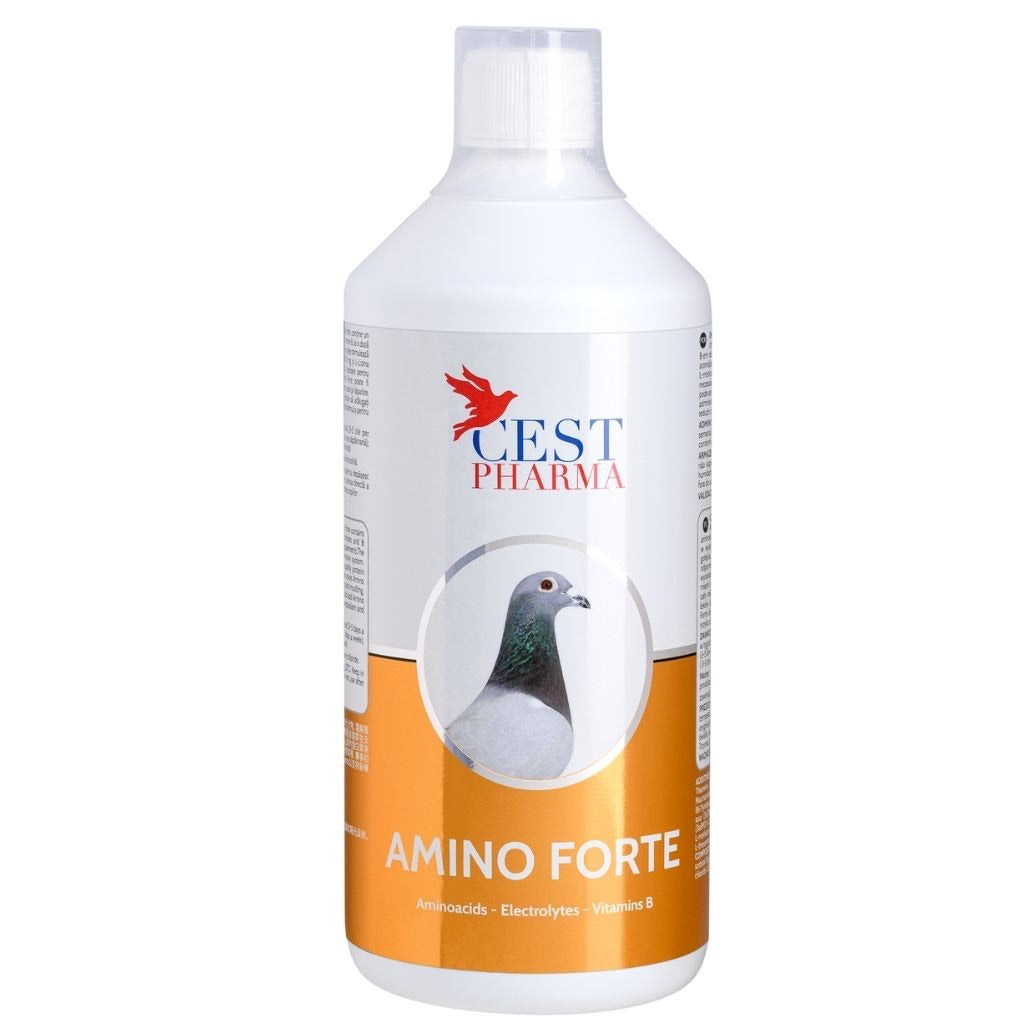 Amino Forte 1