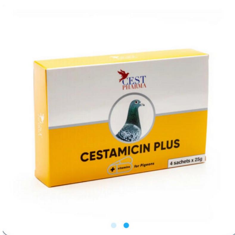 Coccidia & Salmonella Ocline – Broad-Spectrum Treatment for Pigeons