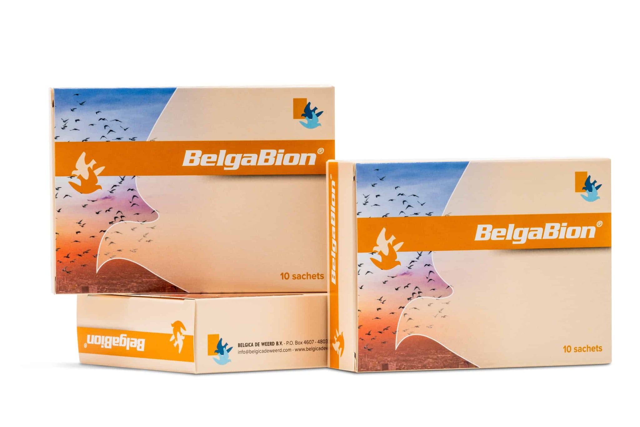 Belga Bion